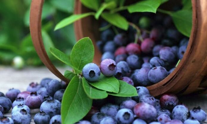 Ang mga blueberry ay isang sikat na berry na epektibong nagpapabuti sa visual acuity. 